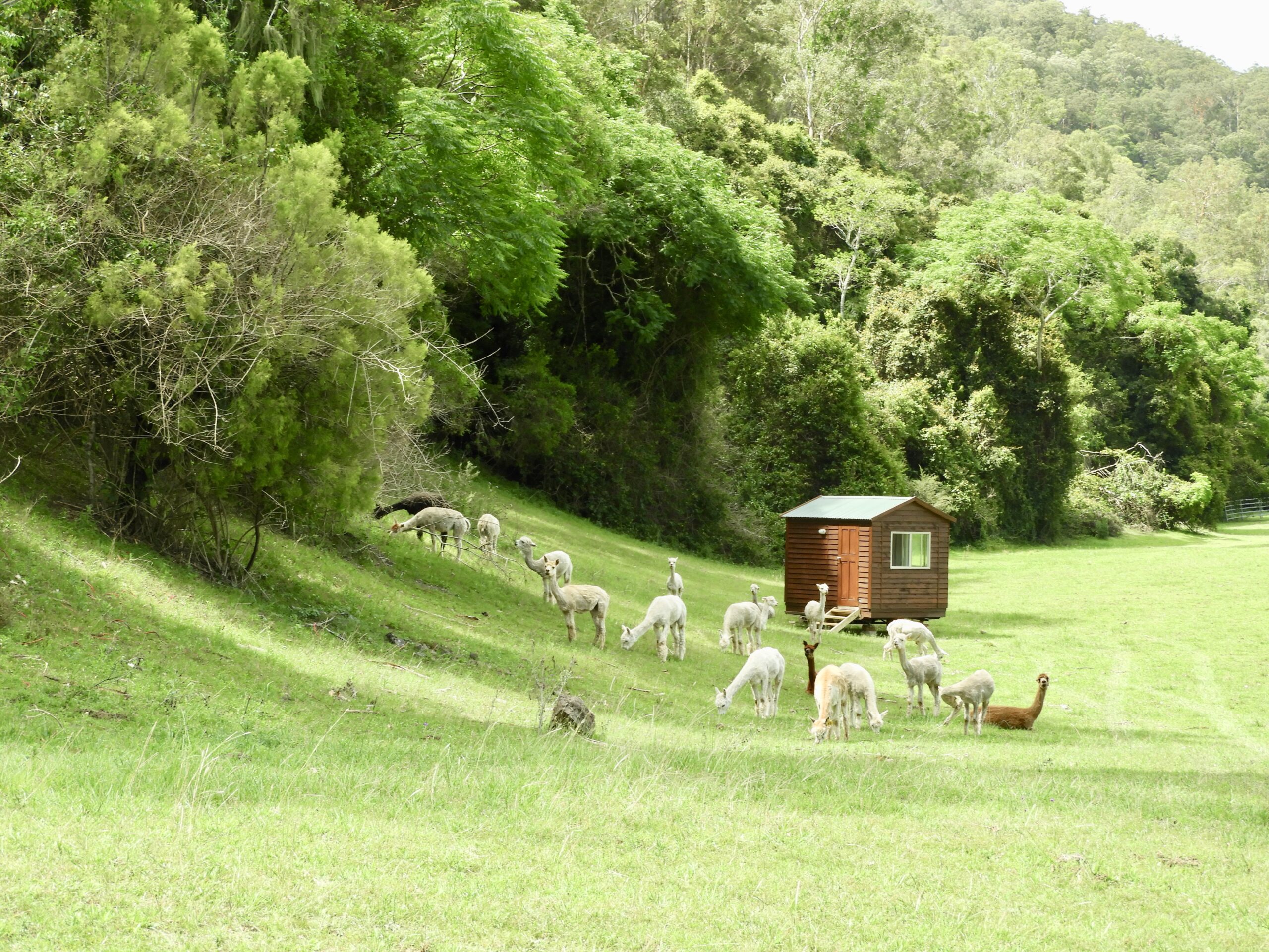 The Tiny House at Avalon River Retreat