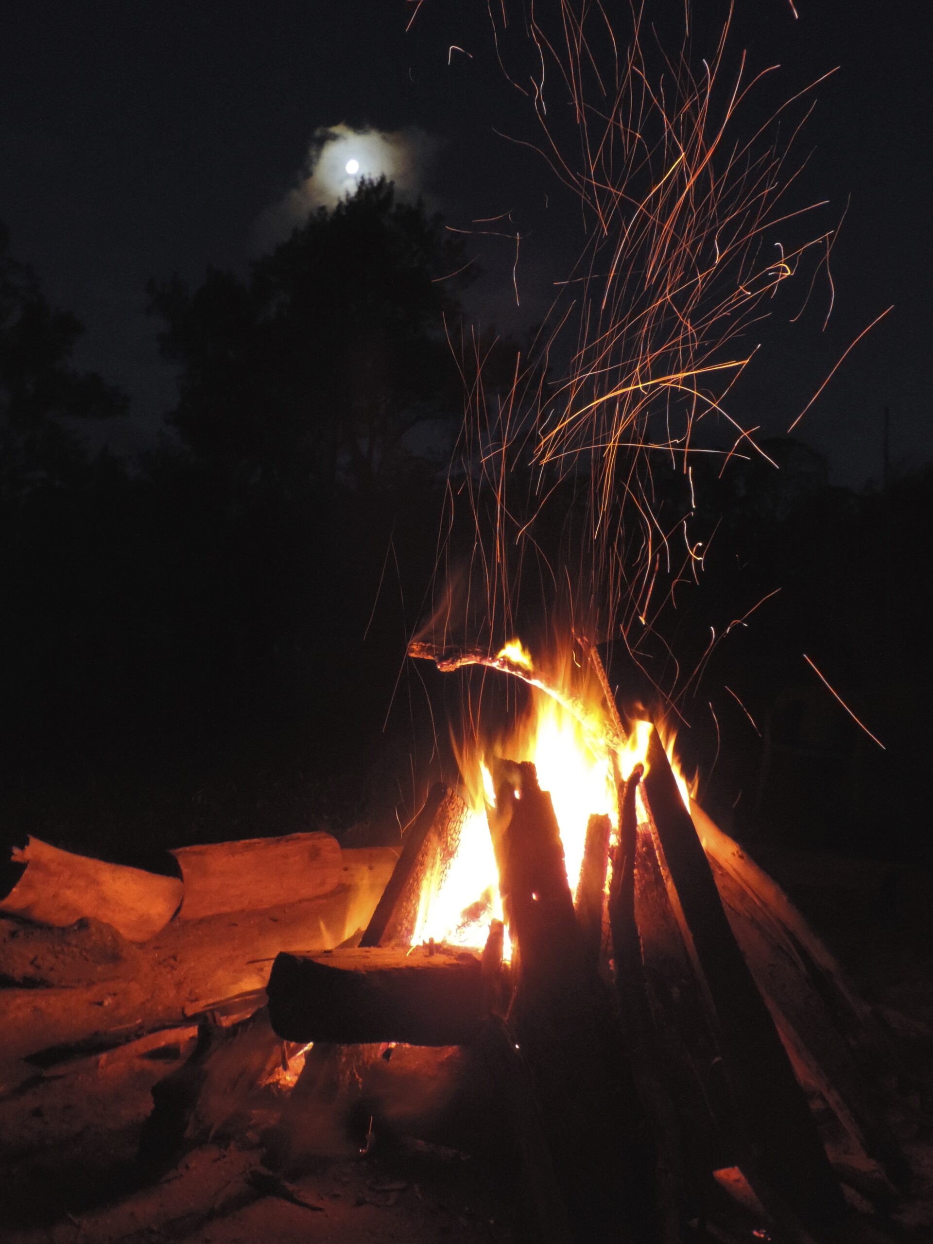 Campfire at Avalon River Retreat