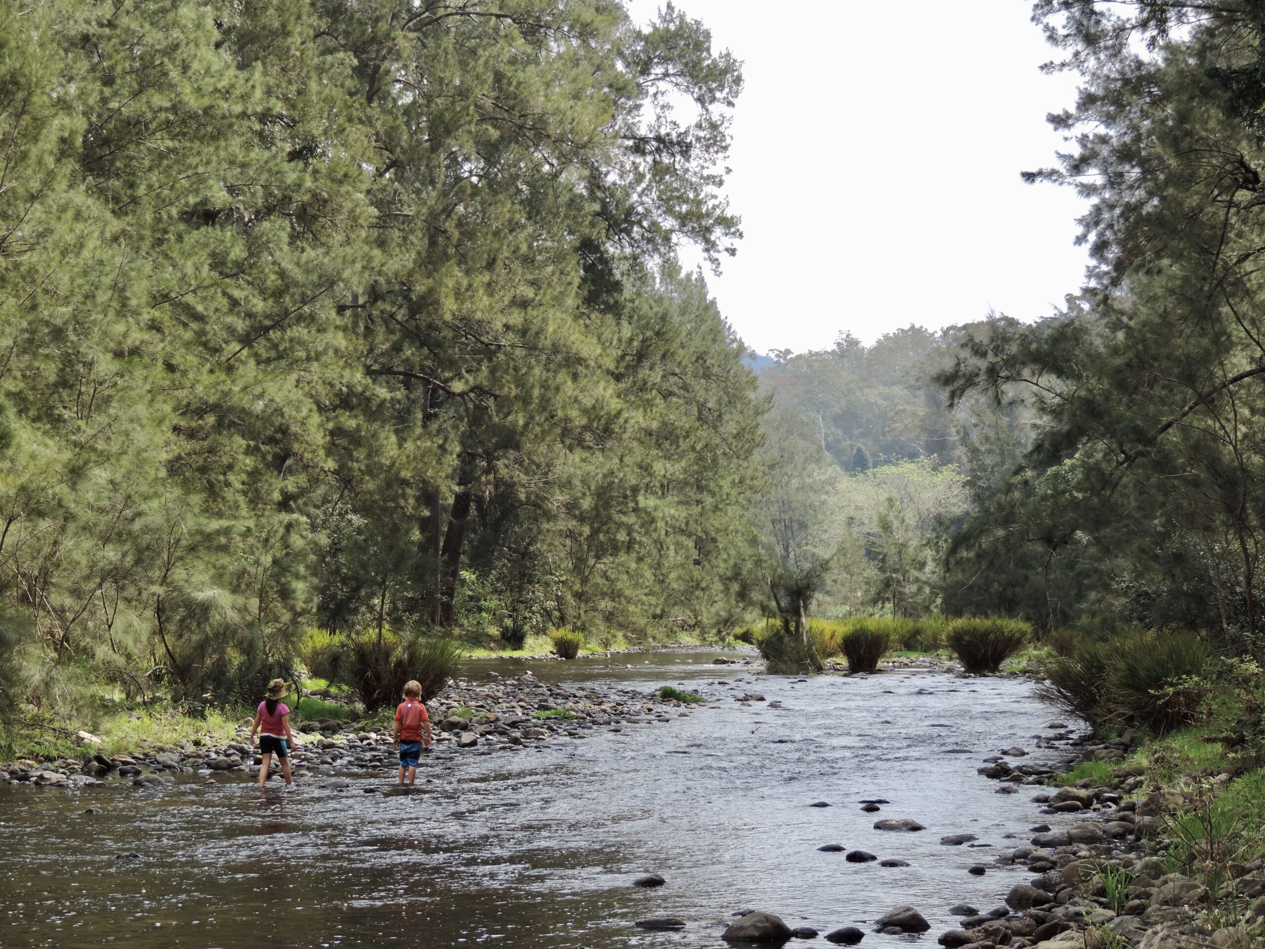 Two small children exploring a shallow river with rocks with trees on either side