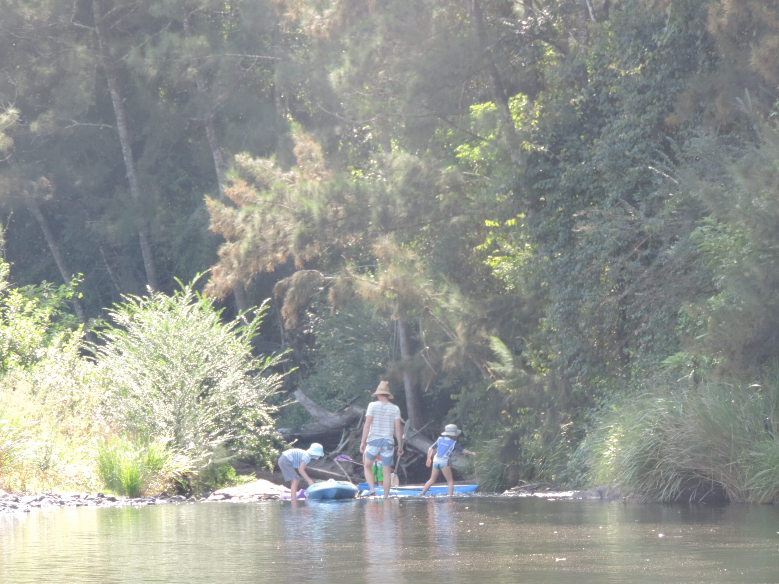 Man and two children in shallow river with kayaks on hot sunny day