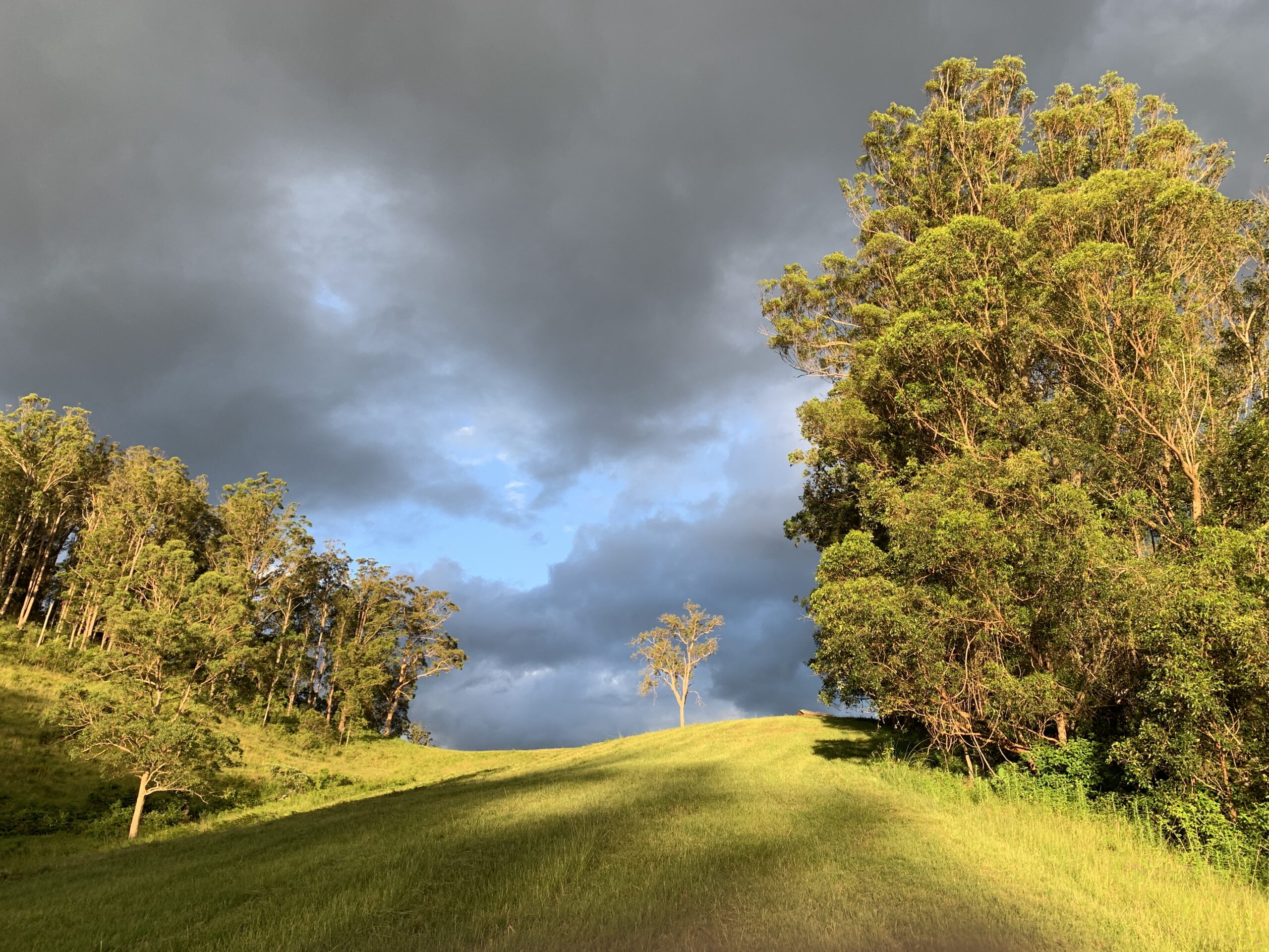 Moody Skies at Avalon River Retreat