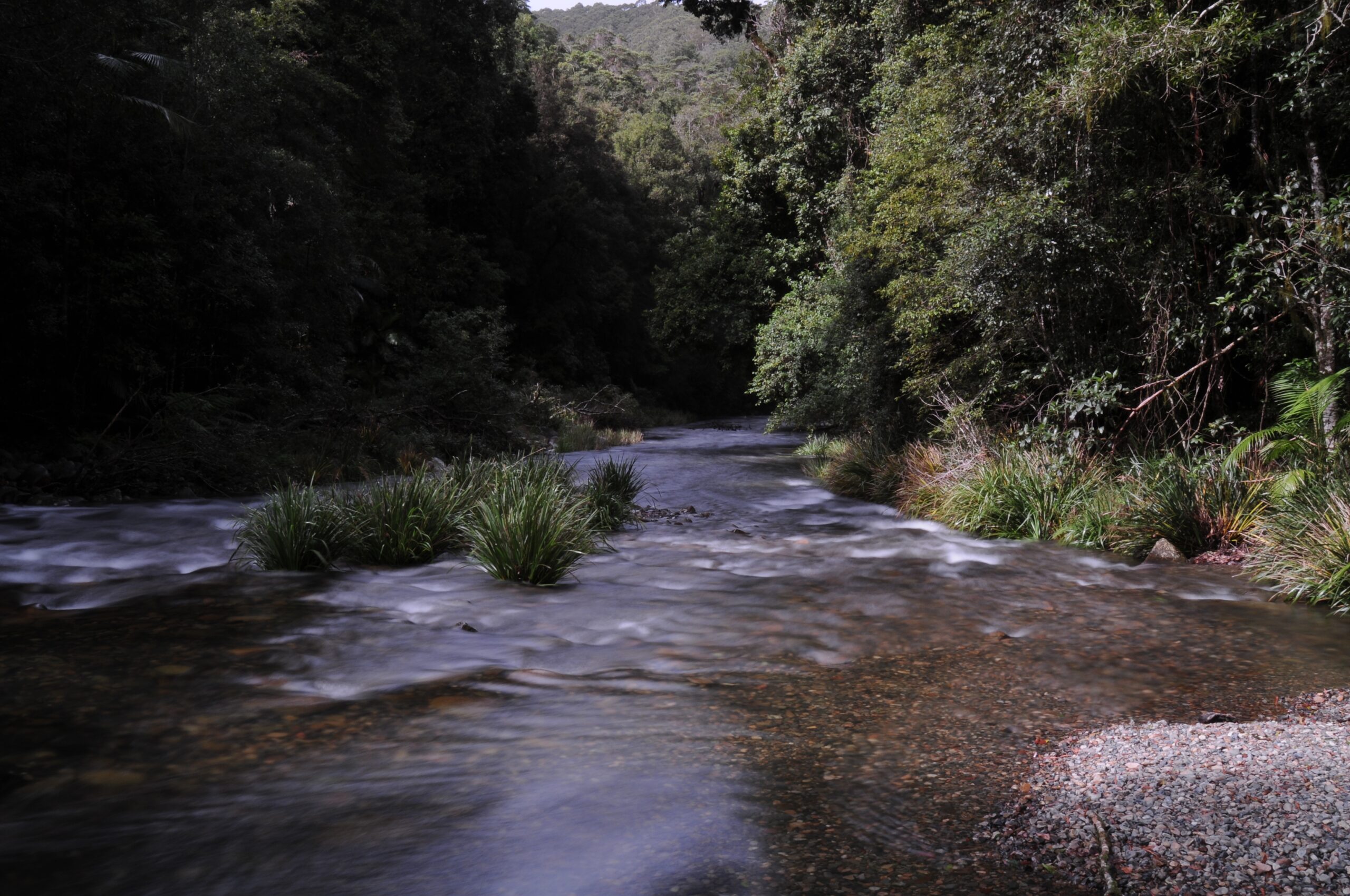 Riverscape with water rushing over rocks