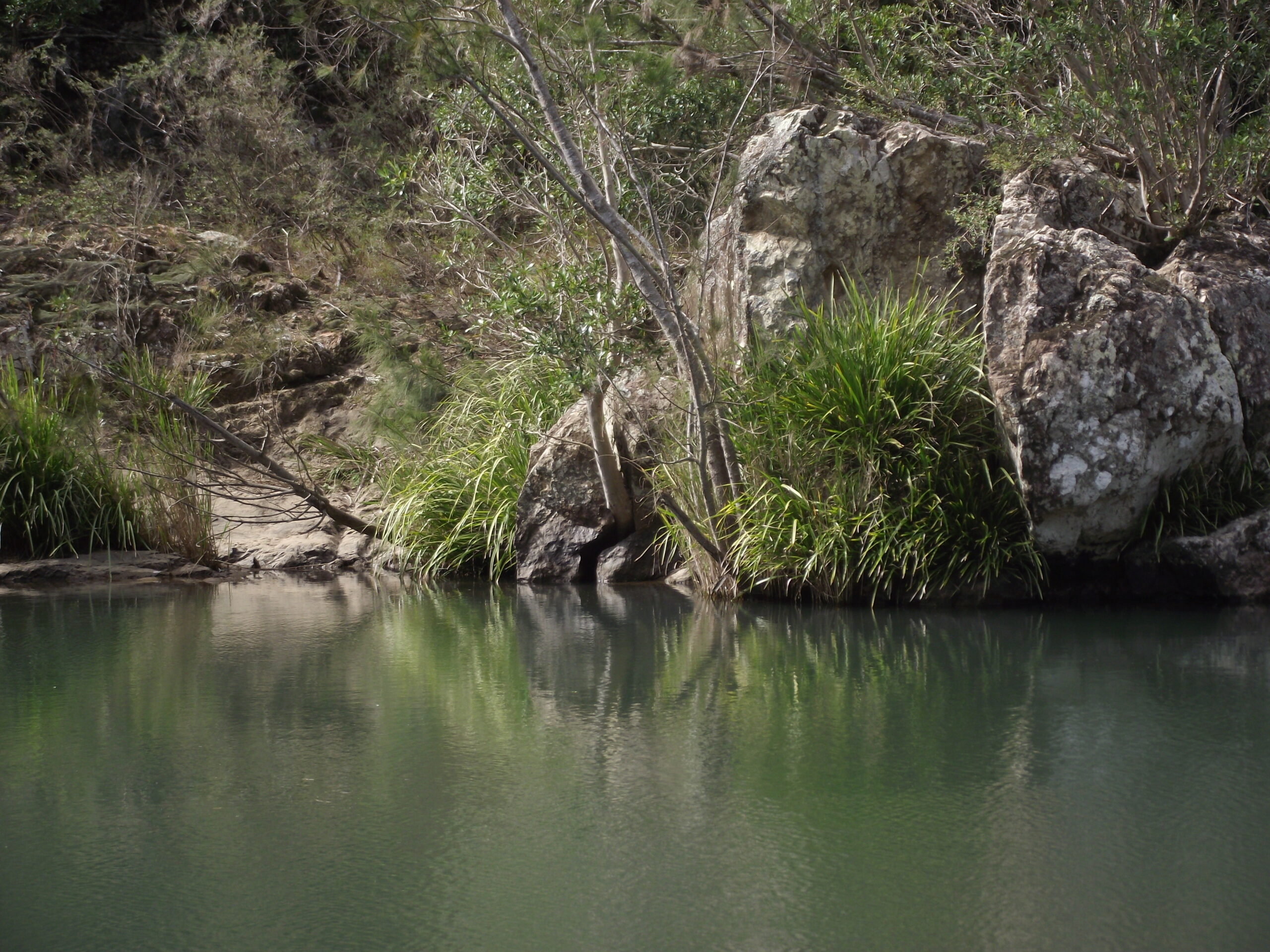 Green river swimming hole with big rocks and foliage on far side