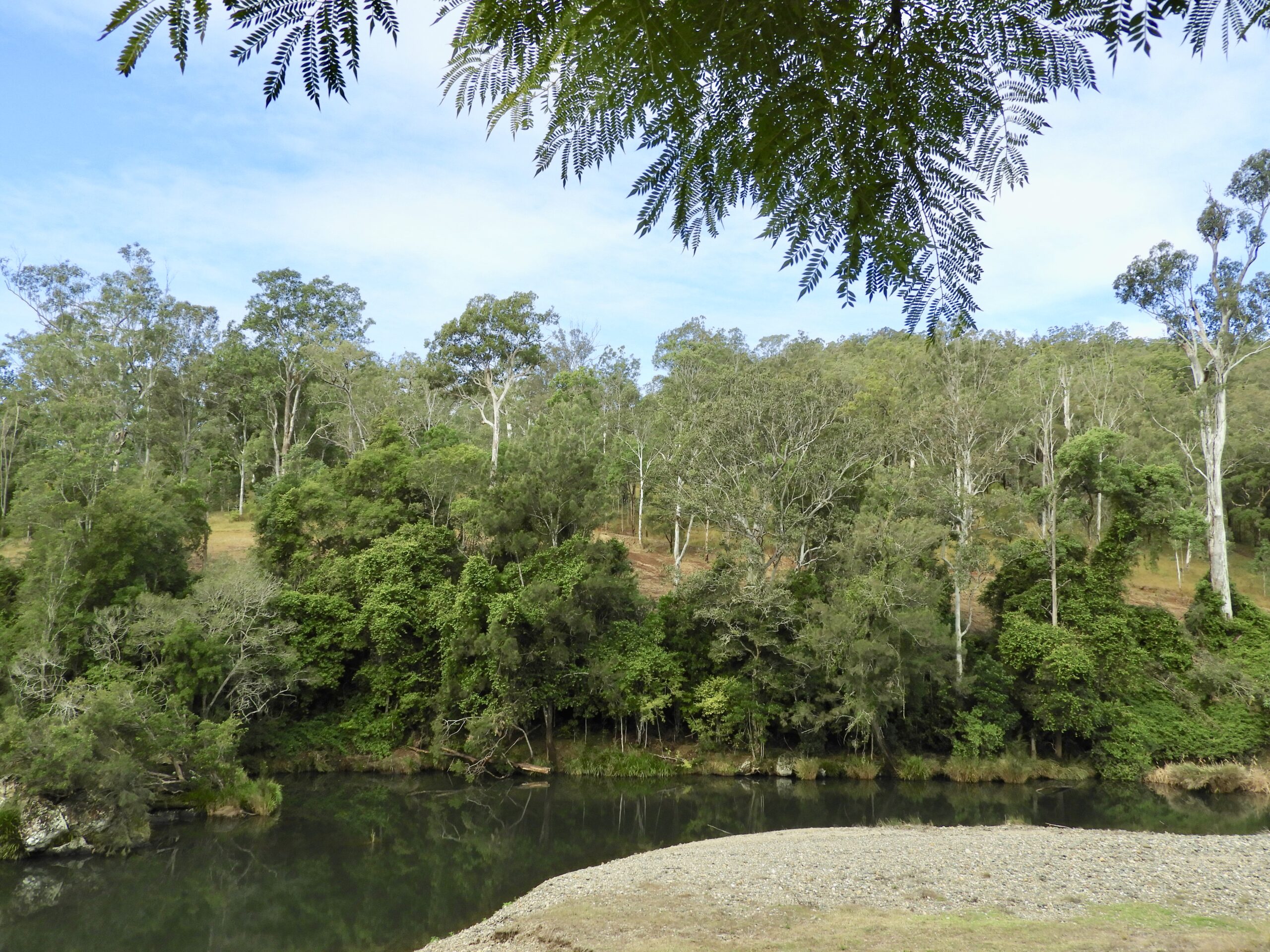 Sweep of a river bend lined with trees on one side and just pebbles on the other