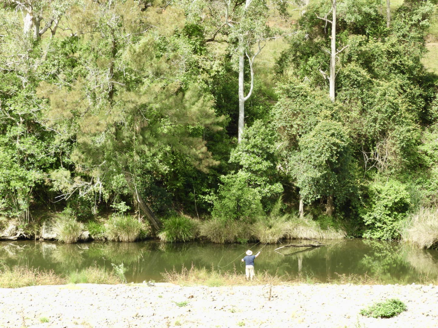 Man fly fishing in blue top and beige shorts standing on edge of river casting a fly 